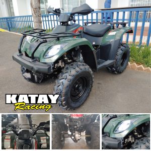 Linhai Rustler 300 2X4 New